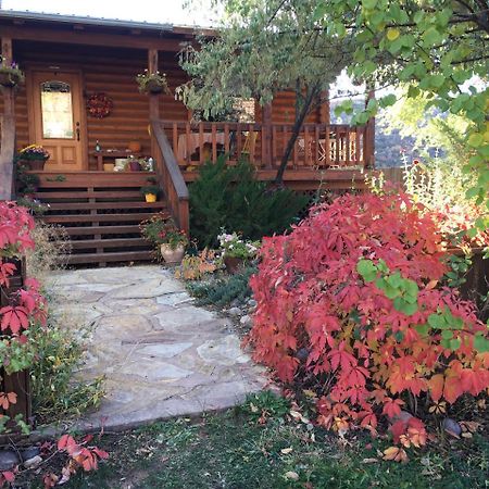 Canyon Wren Bed&Breakfast Bluff Exterior foto
