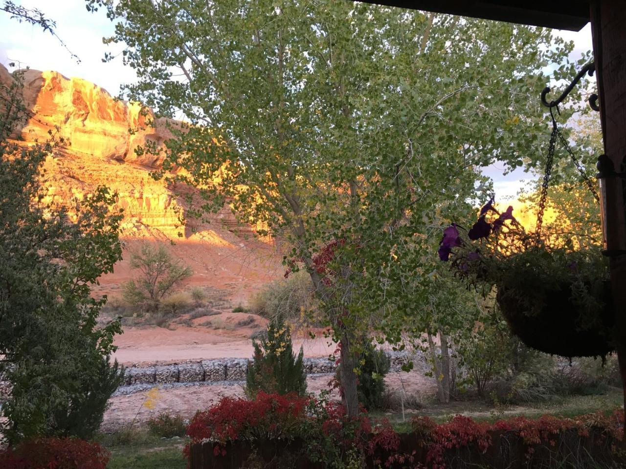 Canyon Wren Bed&Breakfast Bluff Exterior foto