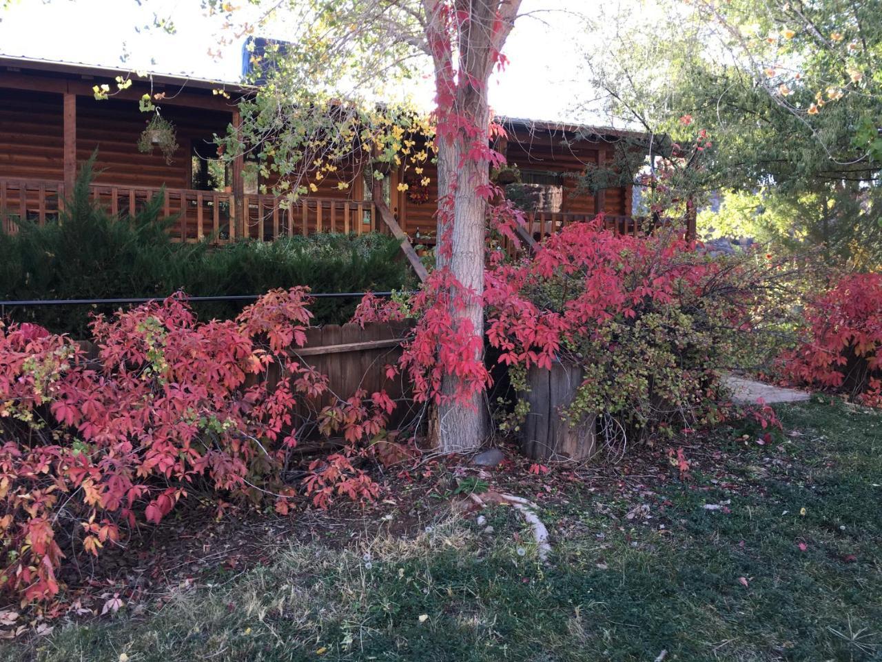 Canyon Wren Bed&Breakfast Bluff Exterior foto